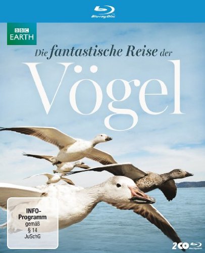 Die fantastische Reise der Vögel