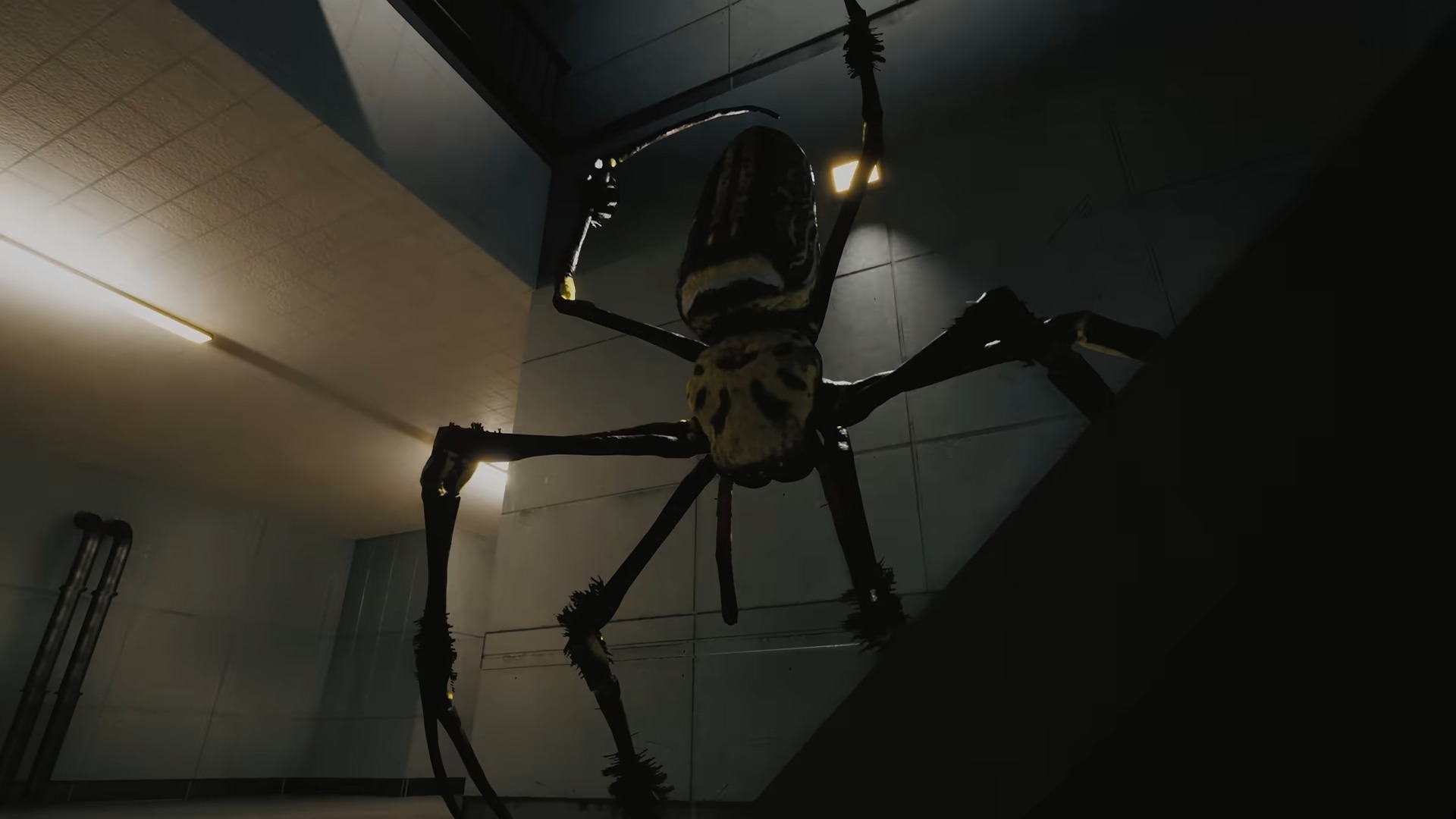 Huntsman – Wenn die eigene Spinnenangst zum Horrorspiel wird Bild Huntsman – Wenn die eigene Spinnenangst zum Horrorspiel wird Screenshot Huntsman – Wenn die eigene Spinnenangst zum Horrorspiel wird Foto