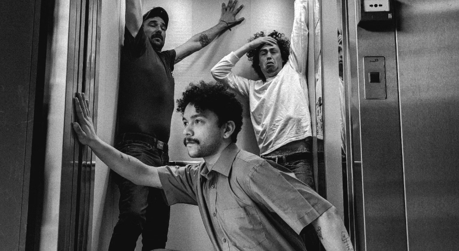 Itches – House Animal Included