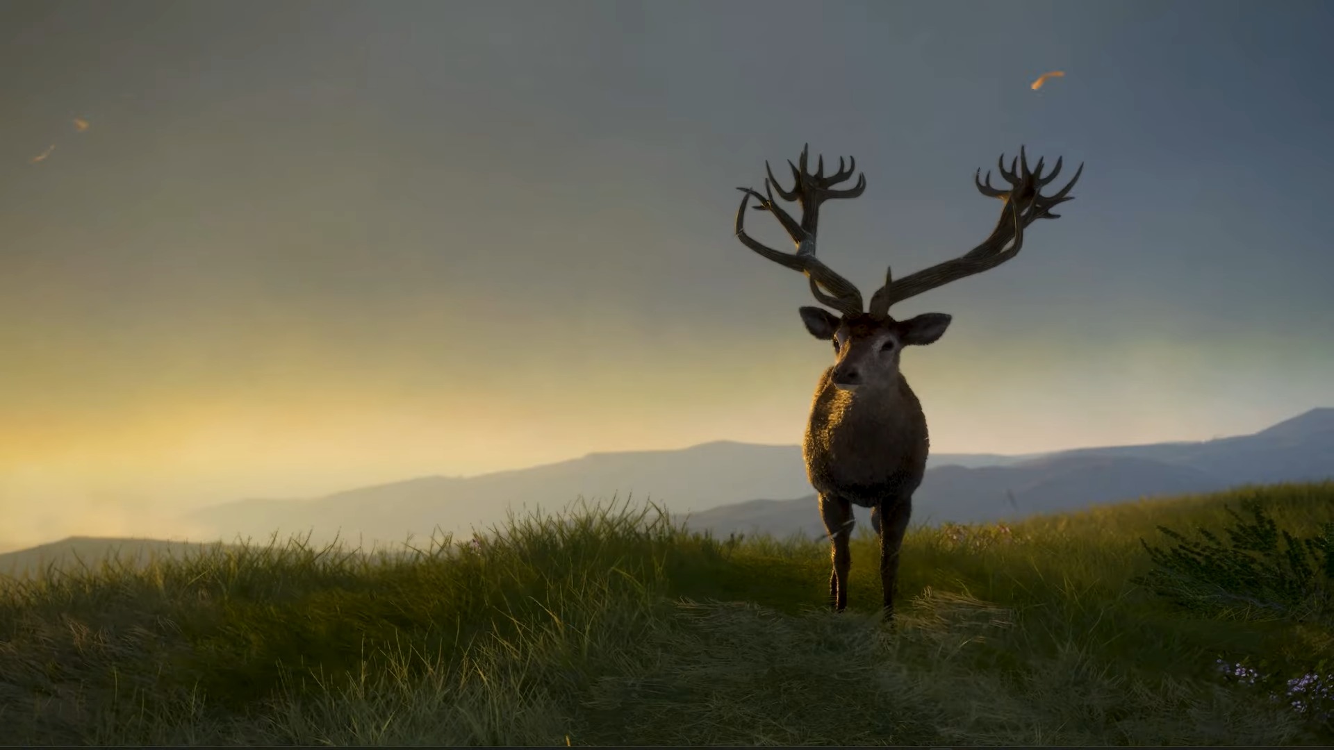 Schottland-DLC erweitert theHunter: Call of the Wild
