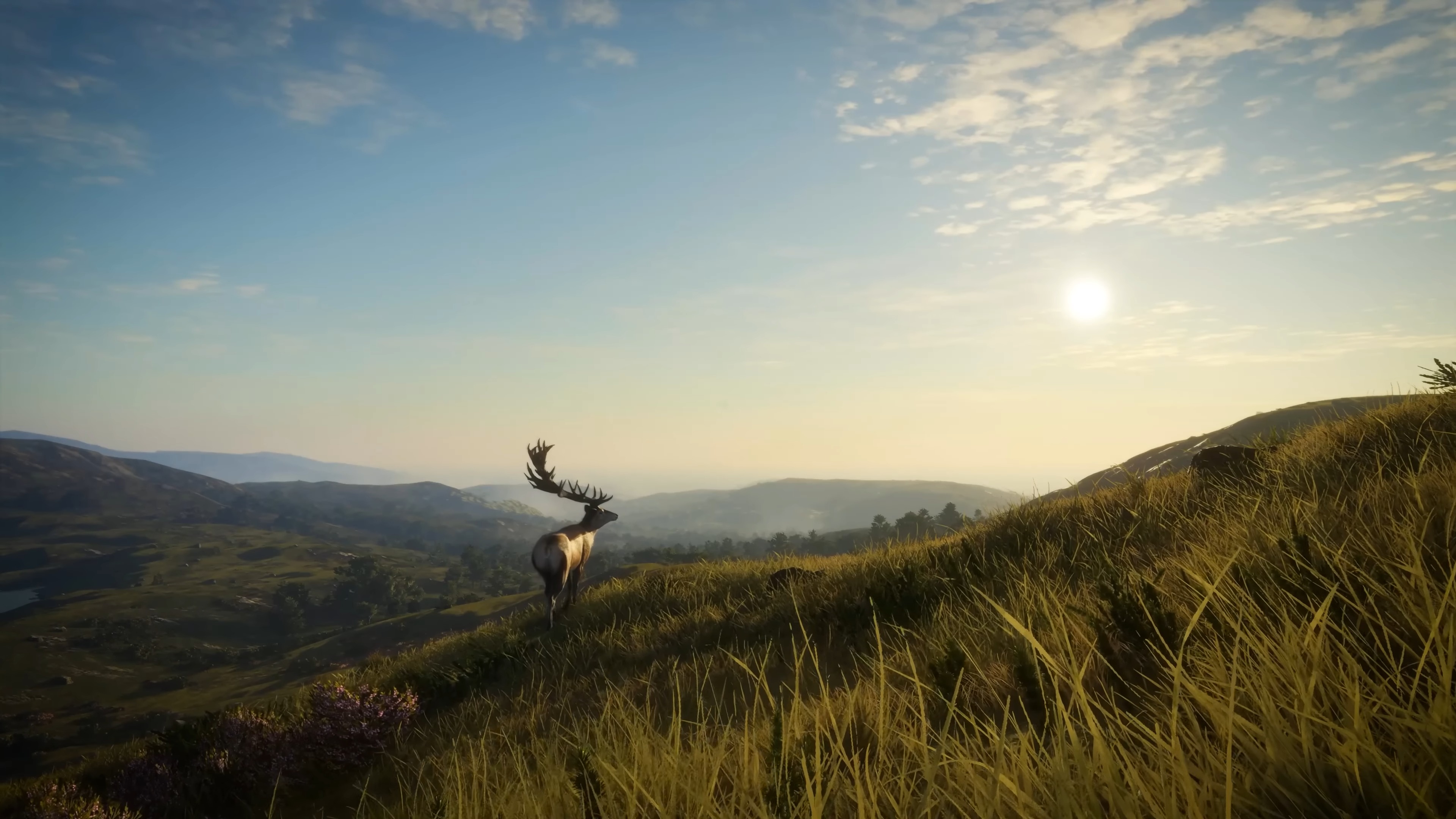 Scotland Hunting Reserve Map jetzt in Call of the Wild Bild Scotland Hunting Reserve Map jetzt in Call of the Wild Screenshot Scotland Hunting Reserve Map jetzt in Call of the Wild Foto