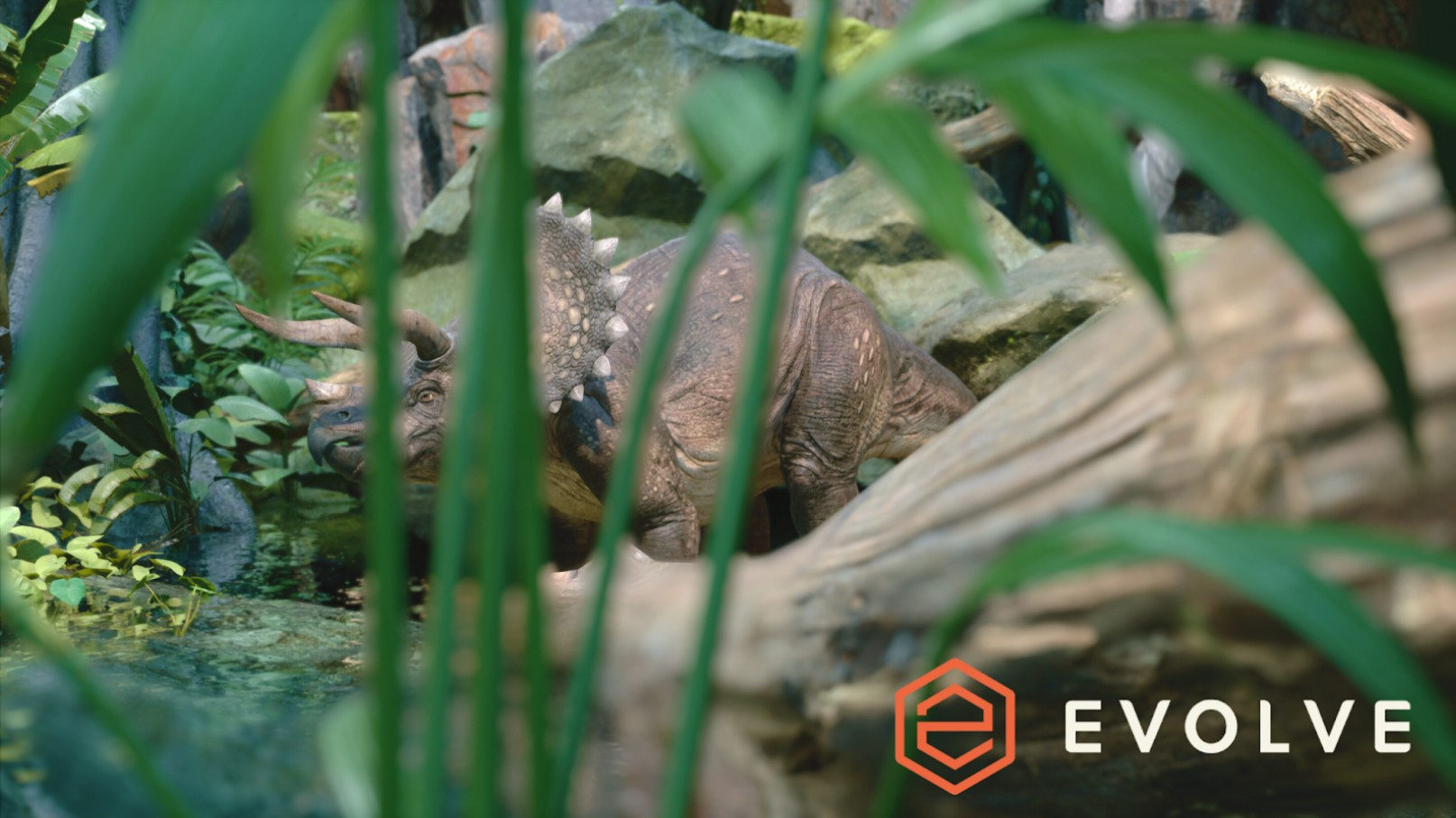 Evolve Benchmark veröffentlicht kostenlose Demo Bild Evolve Benchmark veröffentlicht kostenlose Demo Screenshot Evolve Benchmark veröffentlicht kostenlose Demo Foto