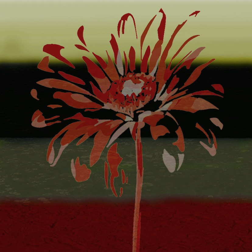 Zukatti taucht mit Luz da Noite in die Nacht ab Bild Zukatti taucht mit Luz da Noite in die Nacht ab Screenshot Zukatti taucht mit Luz da Noite in die Nacht ab Foto