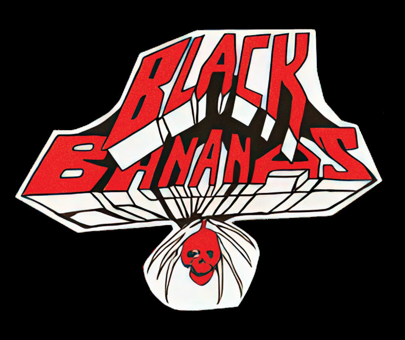 Black Bananas kündigen erstes Album nach zwölf Jahren Pause an