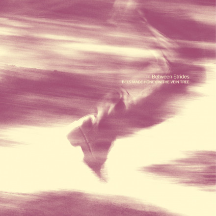 Bees Made Honey in the Vein Tree: Neues Album im September