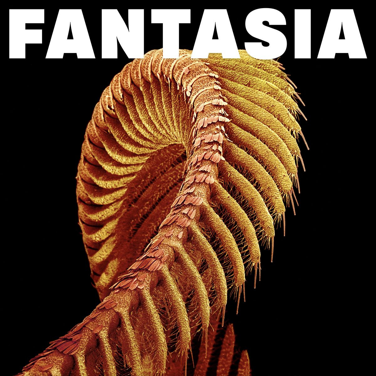 Slift: Neues Album Fantasia erschienen und Tourdaten 2026 Bild Slift: Neues Album Fantasia erschienen und Tourdaten 2026 Screenshot Slift: Neues Album Fantasia erschienen und Tourdaten 2026 Foto