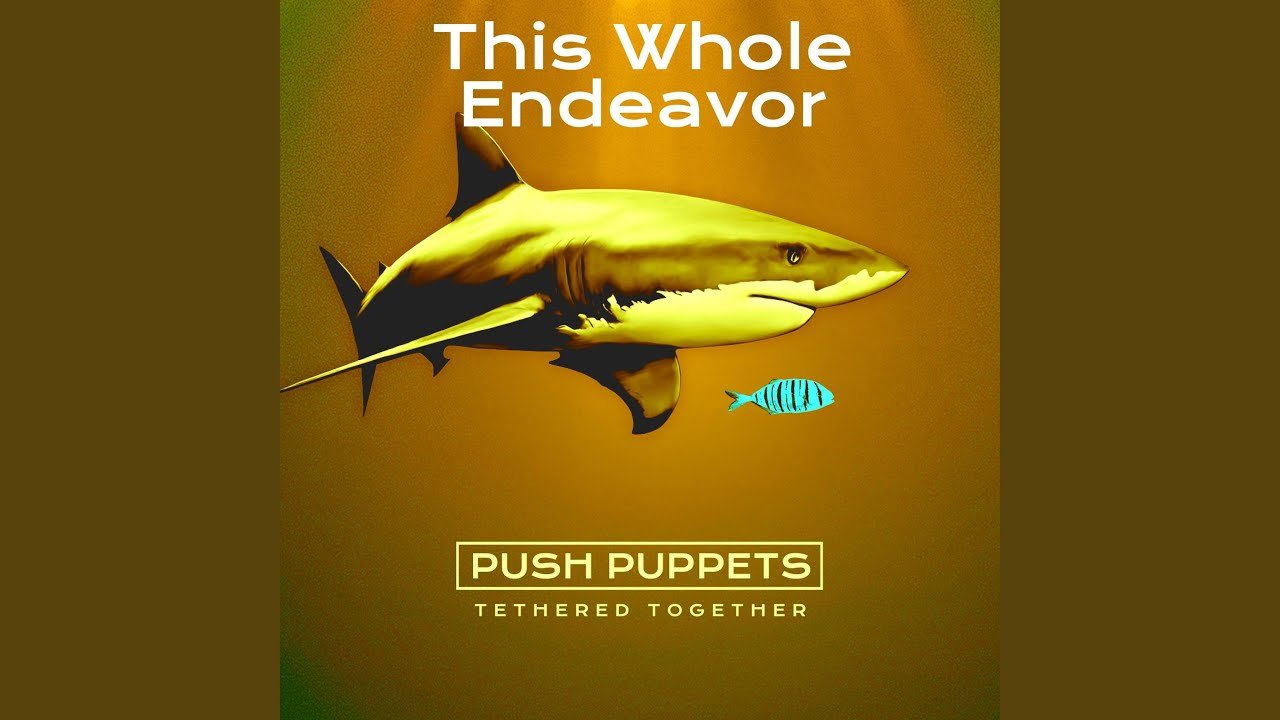 Push Puppets: Neue Single „This Whole Endeavor“