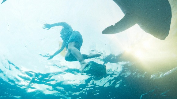Deep Water – Umringt von Haien: Überlebenskampf im Pazifik Bild Deep Water – Umringt von Haien: Überlebenskampf im Pazifik Screenshot Deep Water – Umringt von Haien: Überlebenskampf im Pazifik Foto
