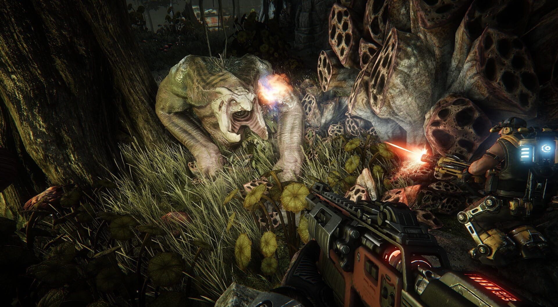Evolve Review Screenshot