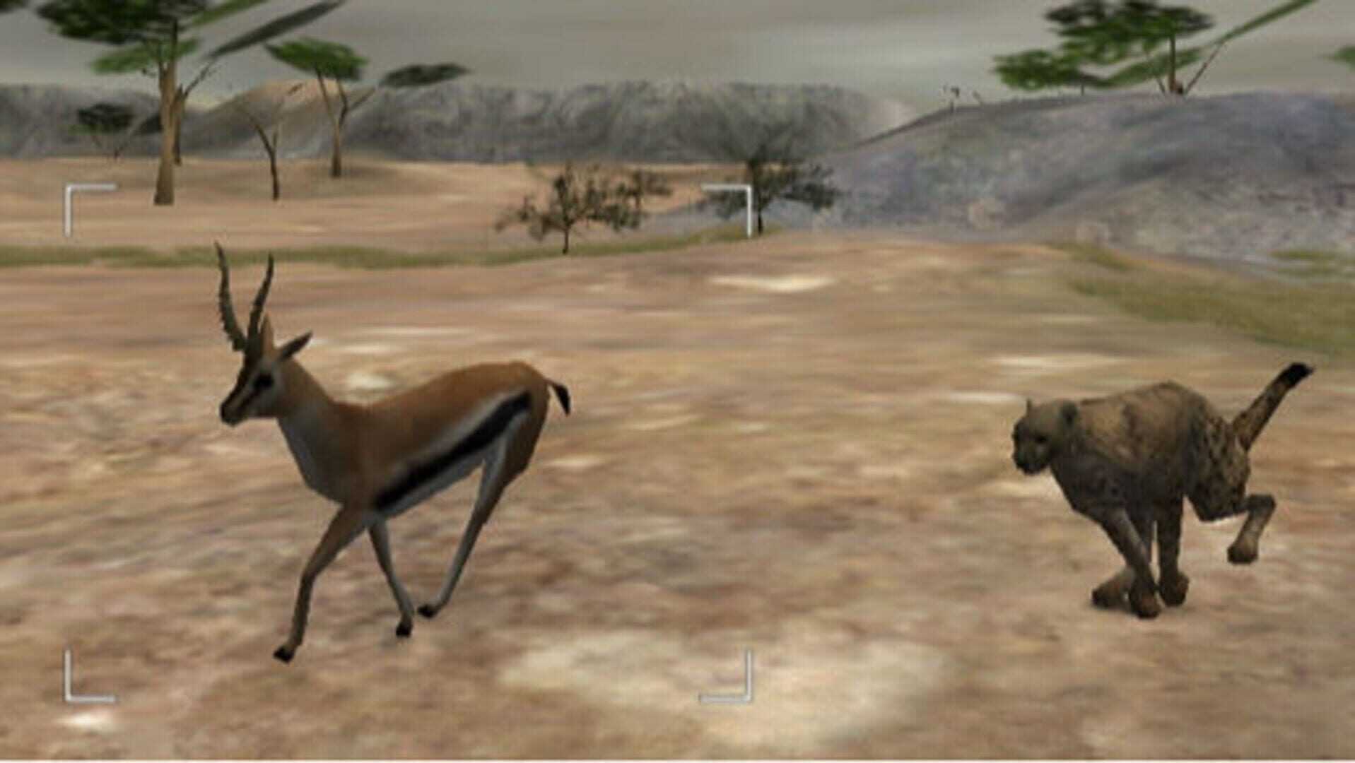 Wild Earth: African Safari Review Screenshot