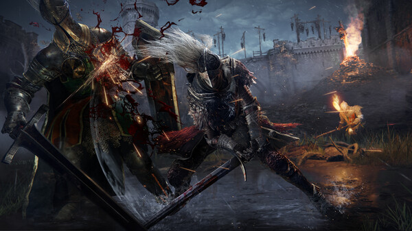 Elden Ring: Nightreign Release-Datum für Mai 2025 angekündigt Screenshot 3