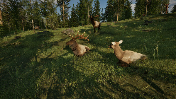 Ranger’s Path: Zweites EA-Update erweitert den Nationalpark Screenshot 9