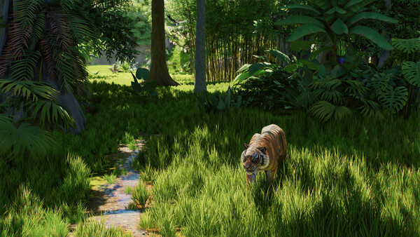 Planet Zoo 2: Tier-Spotlight zeigt Leopardenhai Screenshot 9