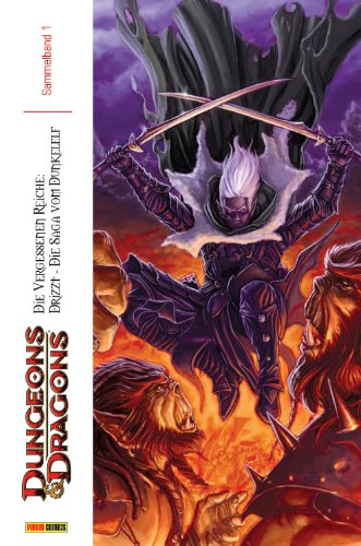 Dungeons & Dragons Sammelband 1, Die Vergessenen Reiche: Drizzt - Die Saga vom Dunkelelf Review Bild Dungeons & Dragons Sammelband 1, Die Vergessenen Reiche: Drizzt - Die Saga vom Dunkelelf Review Screenshot Dungeons & Dragons Sammelband 1, Die Vergessenen Reiche: Drizzt - Die Saga vom Dunkelelf Review Foto